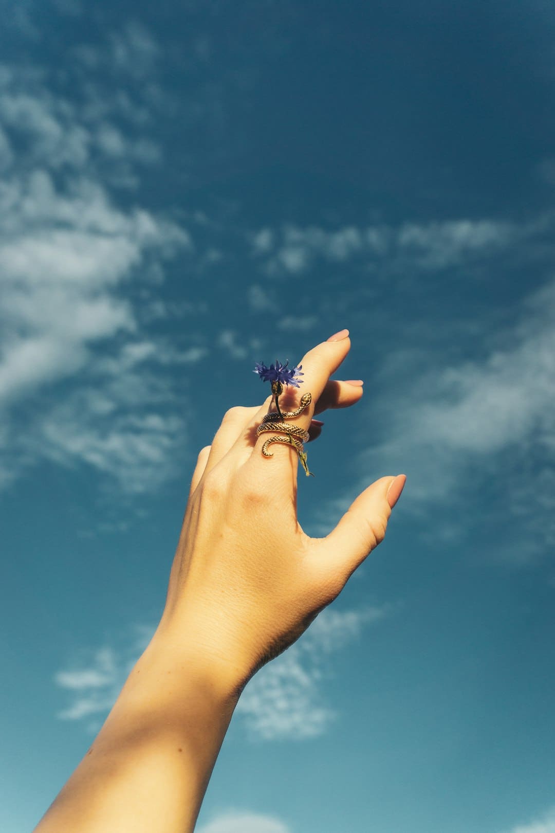 https://p4.img.cctvpic.com/photoworkspace/contentimg/2025/09/06/2025090606155917492.jpg